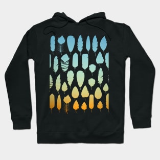 Warm Sky Gradient Feather Hoodie